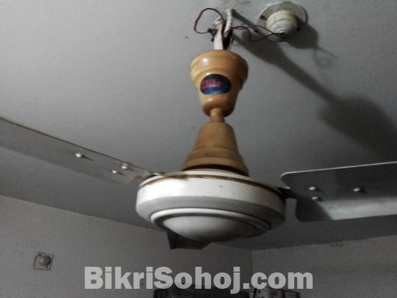 Elite ceiling fan